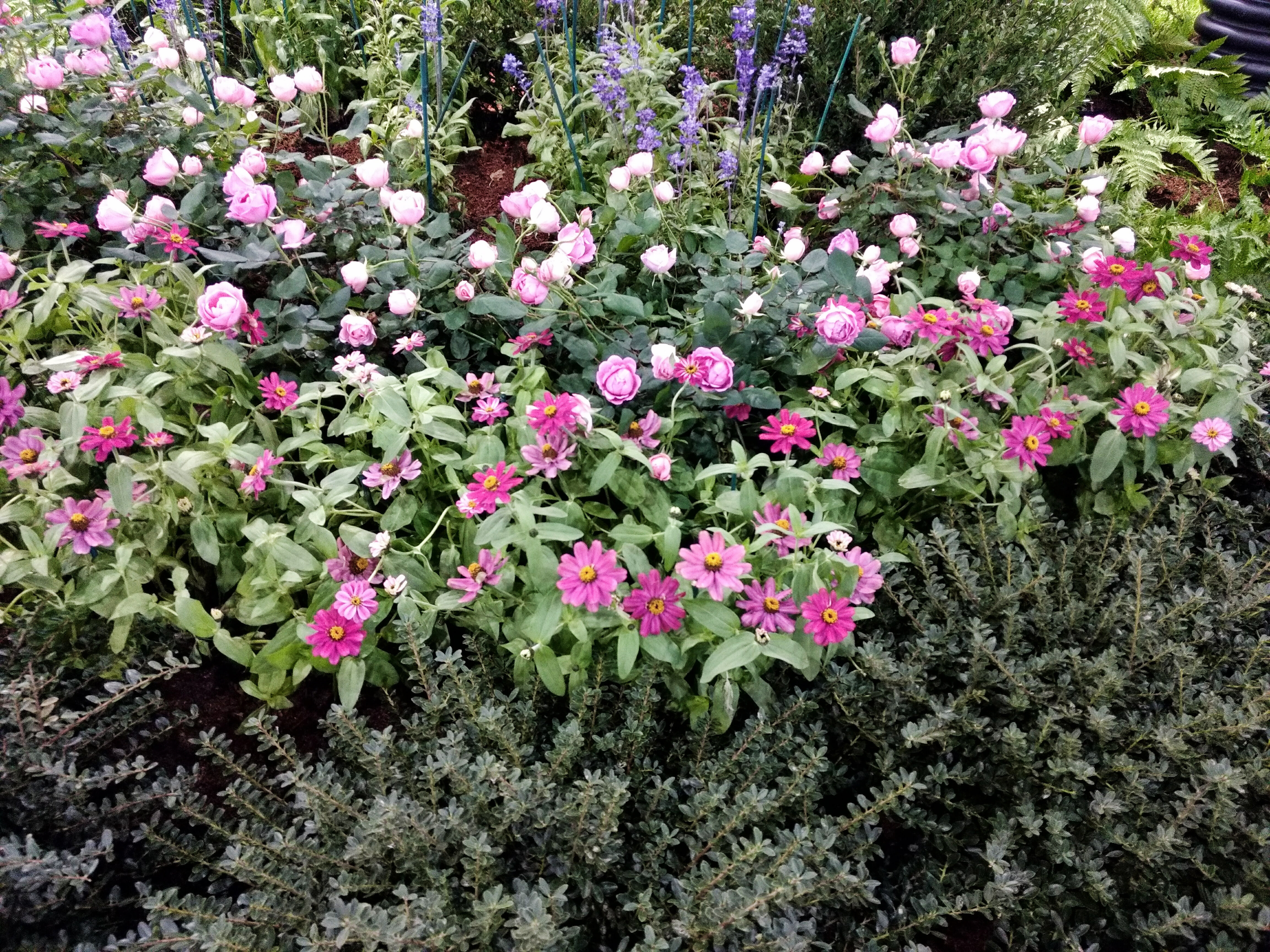 Philadelphia Flower Show