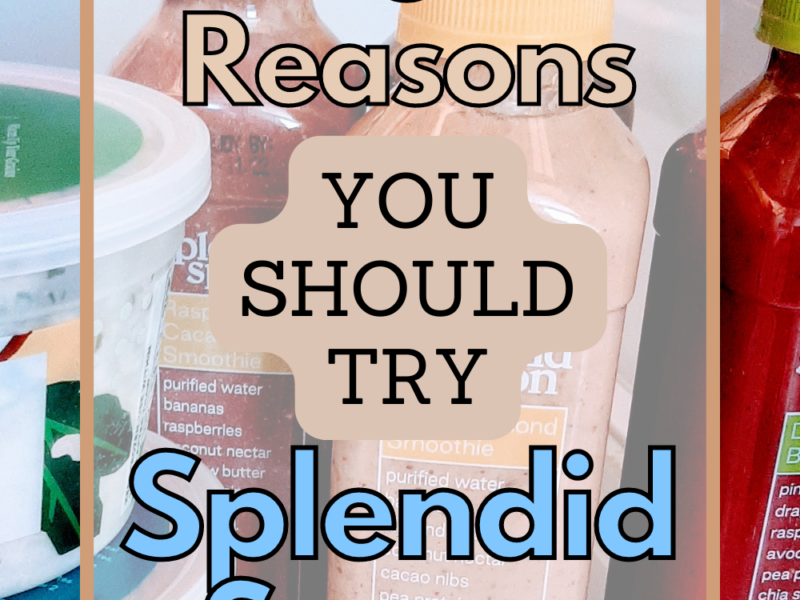 5 Reasons You Should Try Splendid Spoon pin